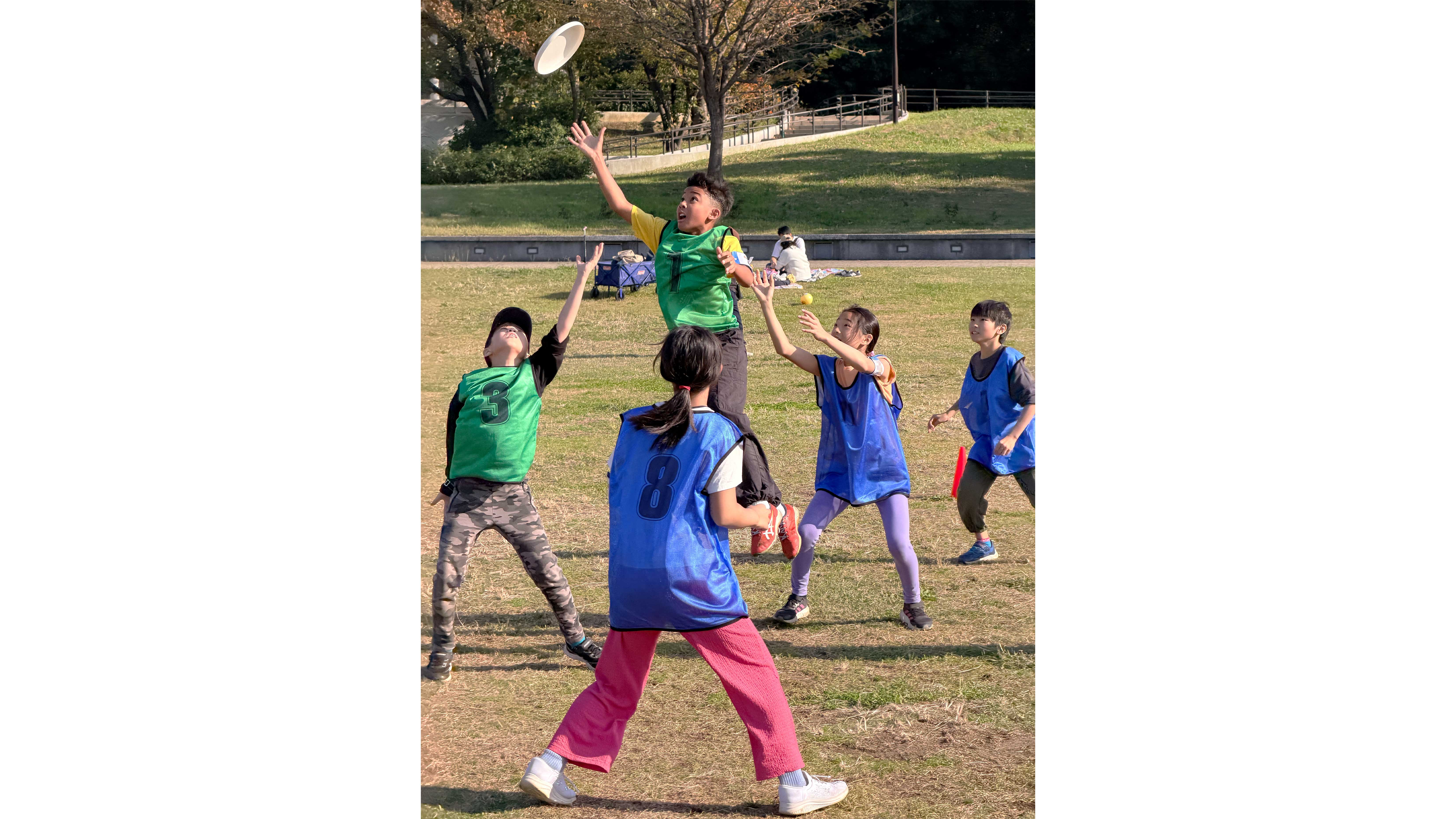 Ultimate Frisbee Day